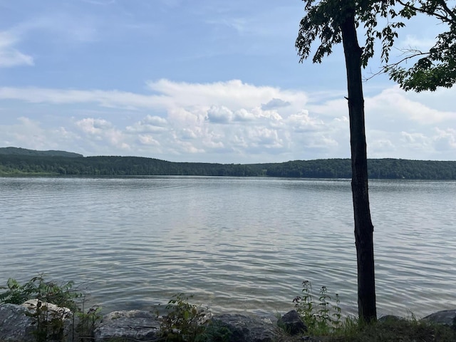 23920 Beers Rd, Mesick, MI 49668