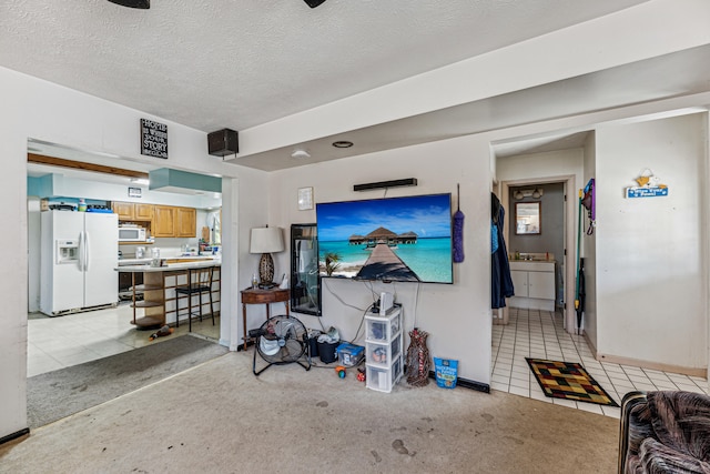 living room with a textured ceiling and light colored carpet