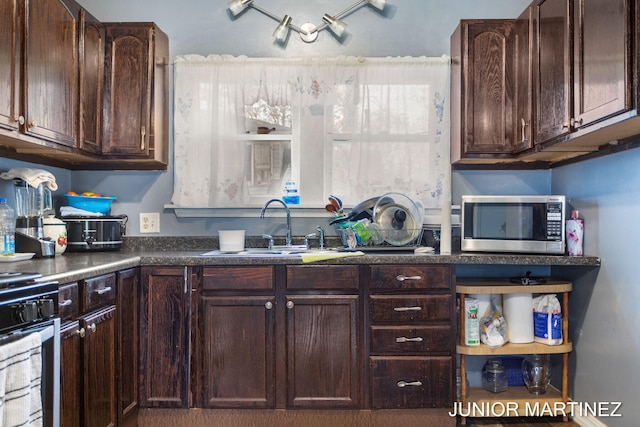 kitchen with stainless steel appliances, dark brown cabinetry, and sink