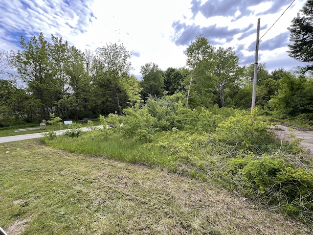 01958 Crk 681, Lacota, MI 49063