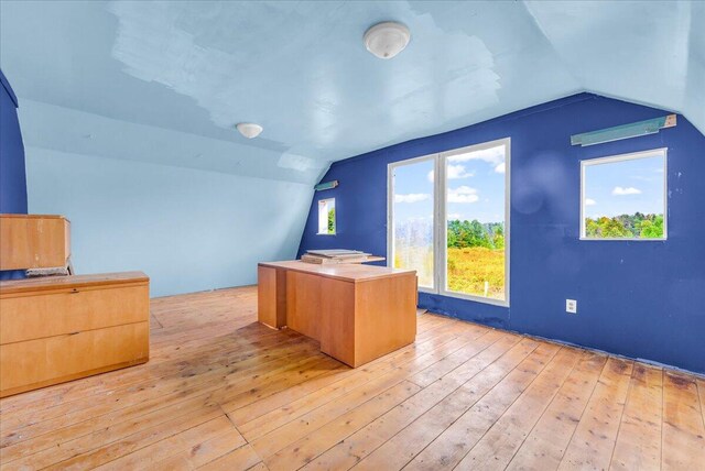 unfurnished office featuring light hardwood / wood-style flooring and lofted ceiling