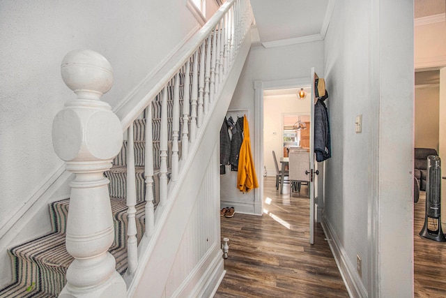 stairs with ornamental molding and hardwood / wood-style floors