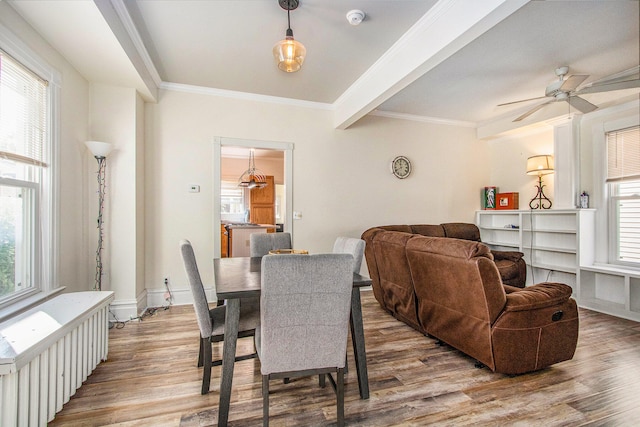 dining area with a healthy amount of sunlight and wood-type flooring