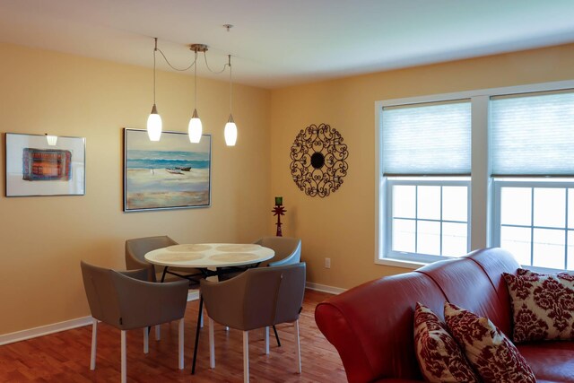 dining area featuring wood-type flooring