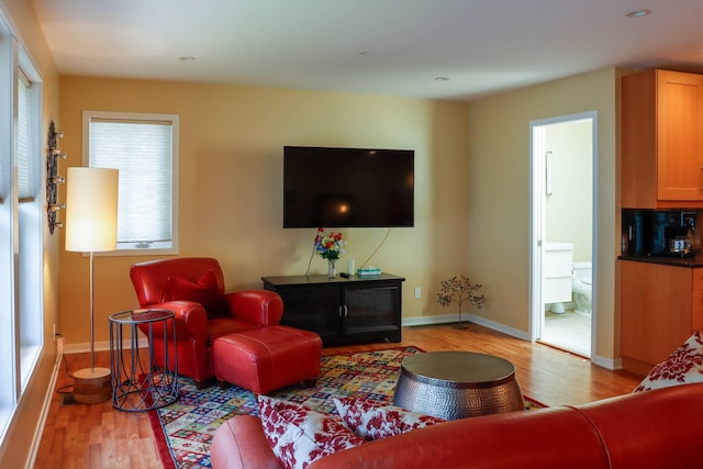 living room with light wood-type flooring and plenty of natural light