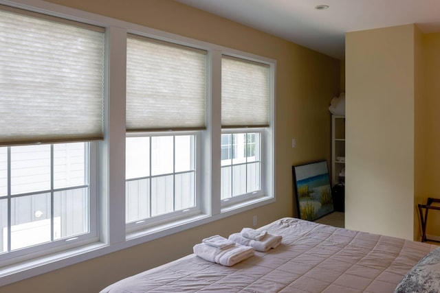 bedroom featuring multiple windows