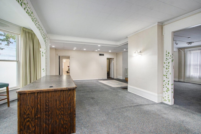 interior space with carpet floors, plenty of natural light, and ornamental molding