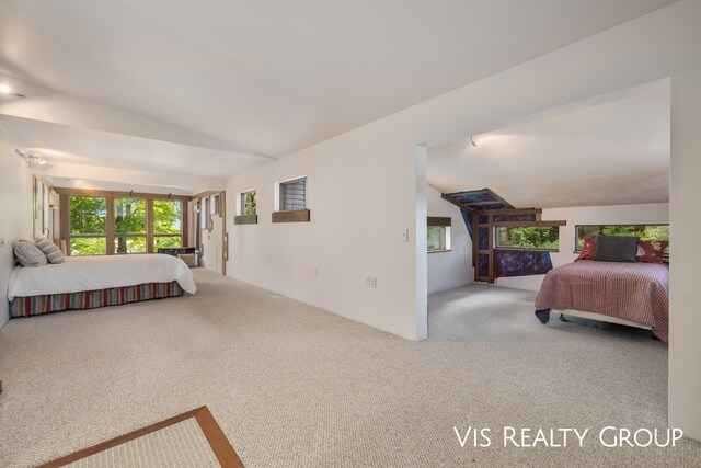 carpeted bedroom with vaulted ceiling