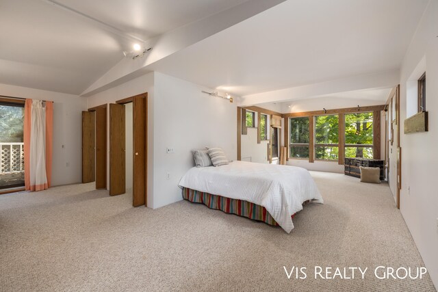 bedroom with track lighting, lofted ceiling, carpet flooring, and multiple windows