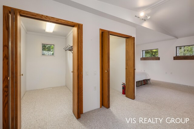 hall featuring light carpet and ornamental molding