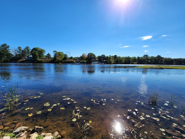 property view of water