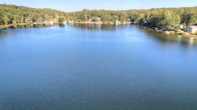 view of water feature