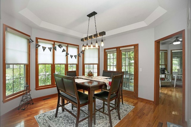 dining area with a healthy amount of sunlight, a tray ceiling, and hardwood / wood-style floors