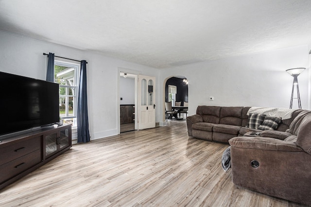 living room featuring light hardwood / wood-style flooring