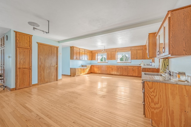 kitchen with hanging light fixtures, light hardwood / wood-style floors, and sink