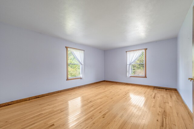 unfurnished room featuring a wealth of natural light and light wood-type flooring