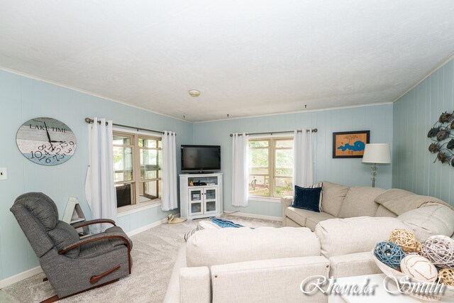 living room with light colored carpet and crown molding