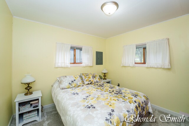 bedroom with carpet floors and electric panel