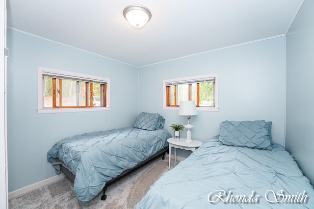 bedroom with carpet flooring