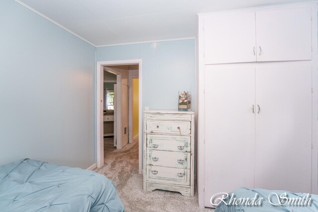 bedroom featuring crown molding and light colored carpet