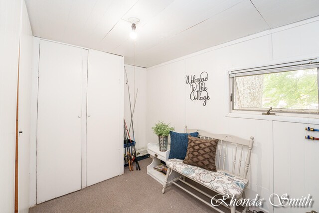 living area featuring carpet floors