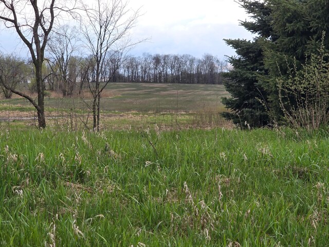 view of local wilderness with a rural view