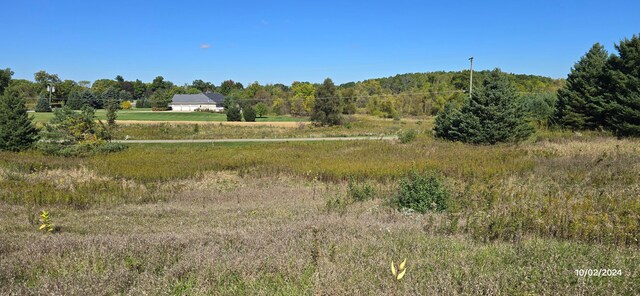 view of local wilderness featuring a rural view