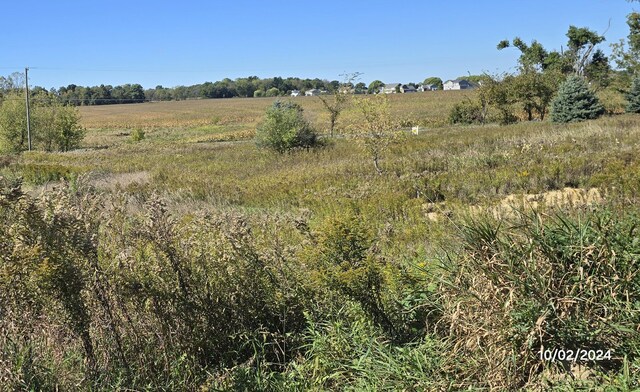 view of local wilderness featuring a rural view