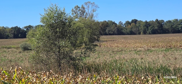 view of nature with a rural view