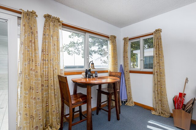 carpeted dining room with a textured ceiling and a wealth of natural light