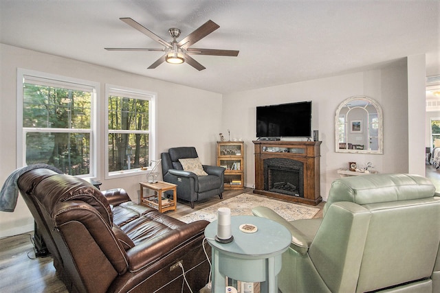 living room with ceiling fan and hardwood / wood-style floors