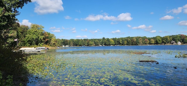 water view