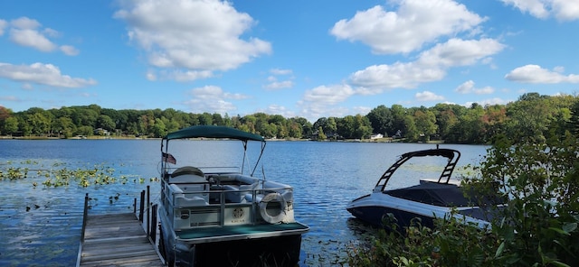 view of dock featuring a water view