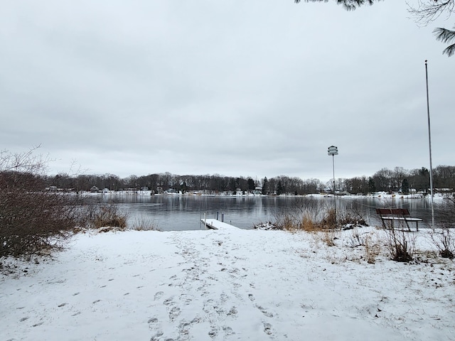 view of snowy yard