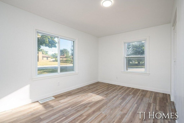 spare room featuring light hardwood / wood-style flooring and a wealth of natural light