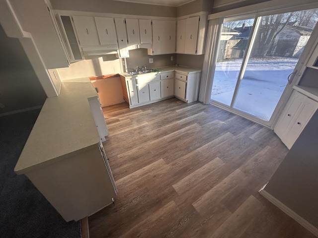 kitchen with wood-type flooring, sink, and white cabinetry