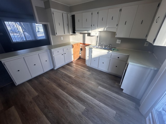 kitchen with white cabinetry, dark hardwood / wood-style flooring, and sink