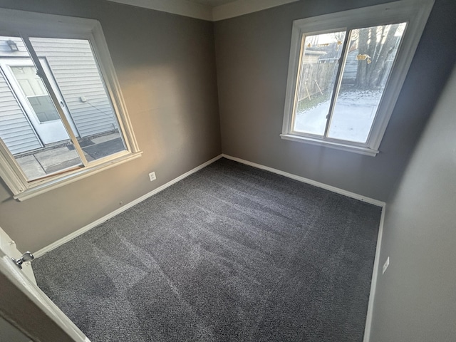 empty room featuring a healthy amount of sunlight and carpet flooring