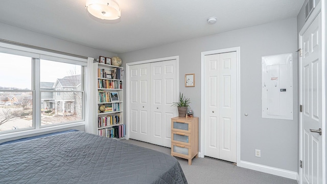 carpeted bedroom featuring electric panel and two closets