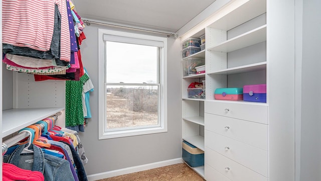 view of spacious closet