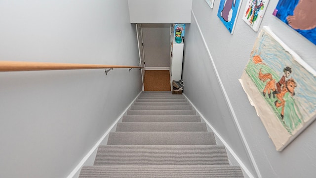 staircase with carpet