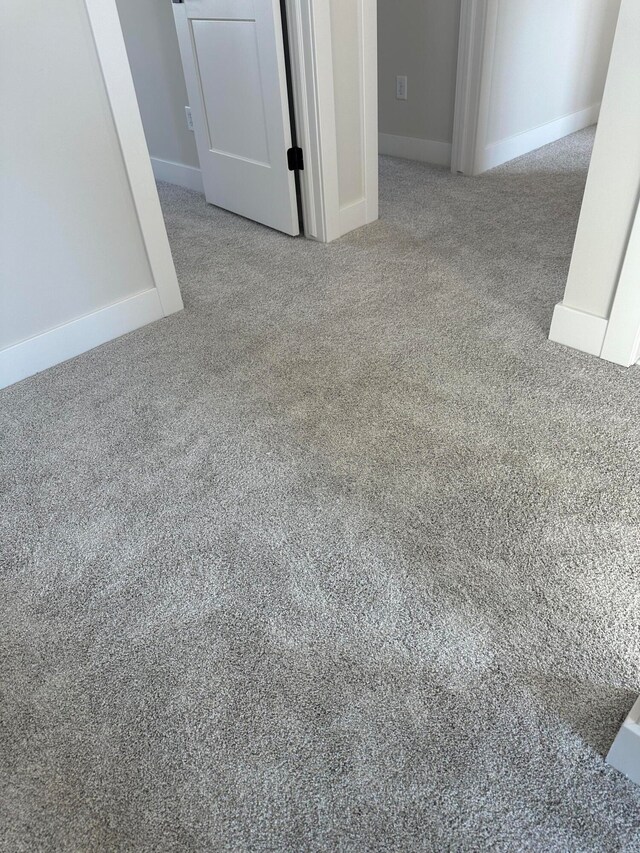 room details with carpet floors