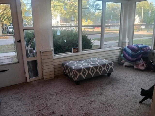 view of sunroom / solarium