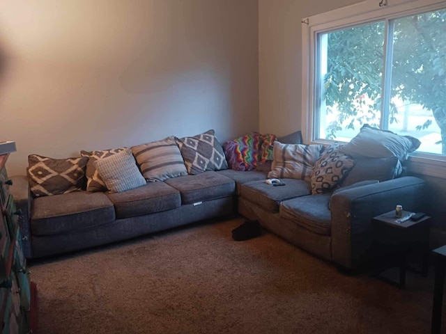 carpeted living room featuring a healthy amount of sunlight