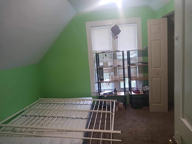 additional living space with vaulted ceiling and carpet floors