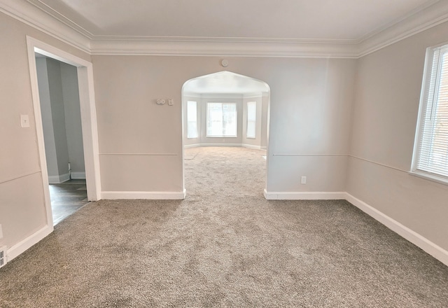 carpeted empty room with plenty of natural light and crown molding