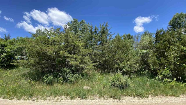 11770 Penlawn Dr, Jerome MI, 49249 land for sale