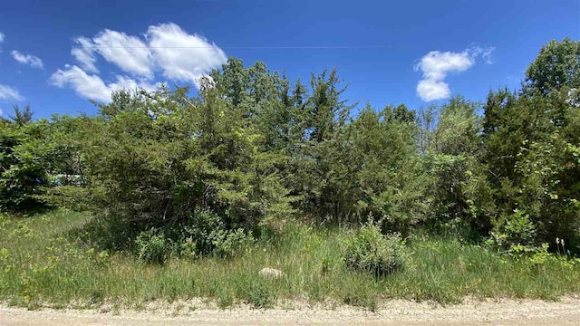 11770 Penlawn Dr, Jerome, MI 49249 - photo 1