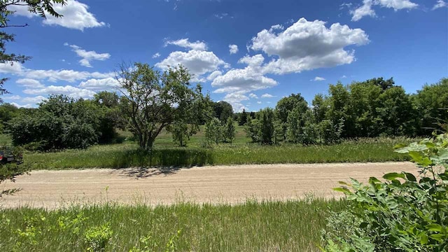 11770 Penlawn Dr, Jerome, MI 49249 - photo 2