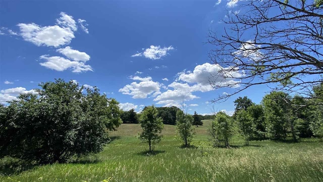 11770 Penlawn Dr, Jerome, MI 49249 - photo 3